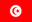 Tunisia_Flag-4246612033