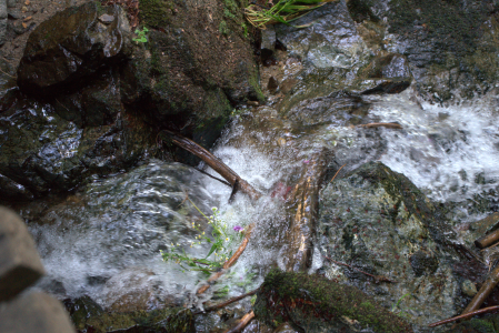 slovenia-nature-2